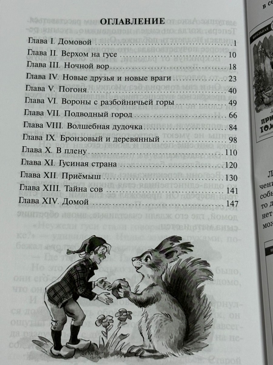 ШБ Путешествие Нильса с дикими гусями